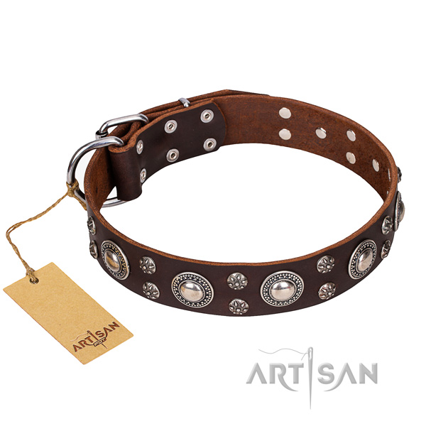 Studded Dog Collar for sale