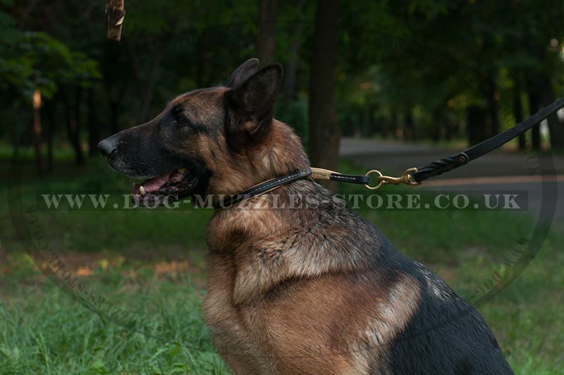 german shepherd choke collar