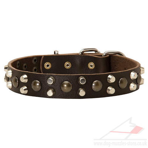 Studded Dog Collar