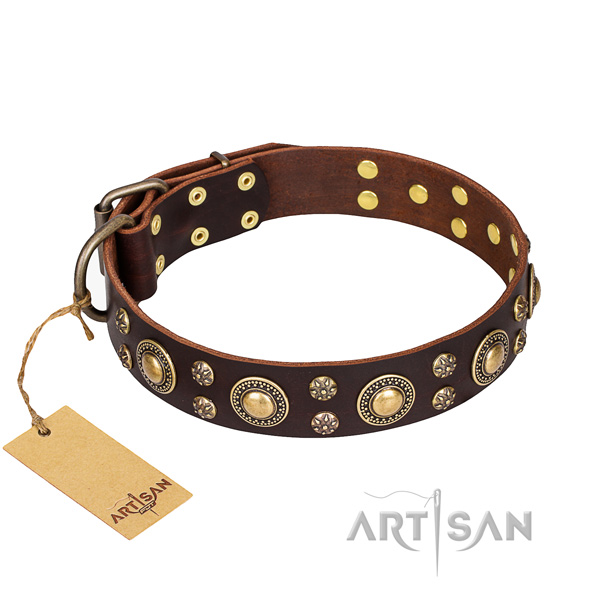 brown leather dog collar for sale