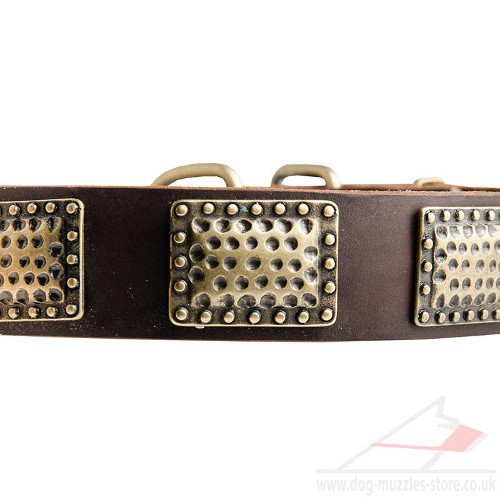 Best Collar for German Shepherd