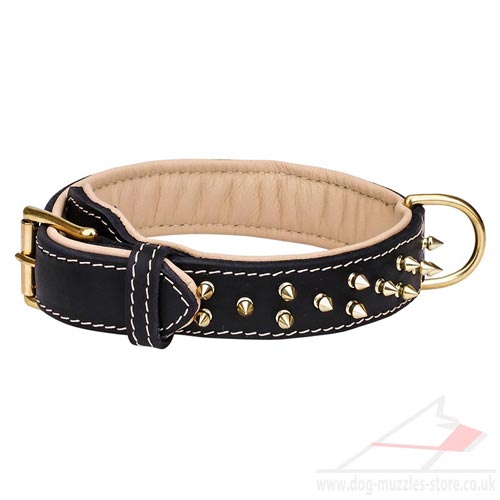 Soft Padded Leather Dog Collar