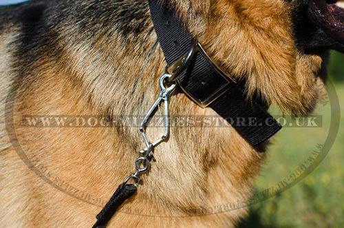 Nylon Dog Collar UK