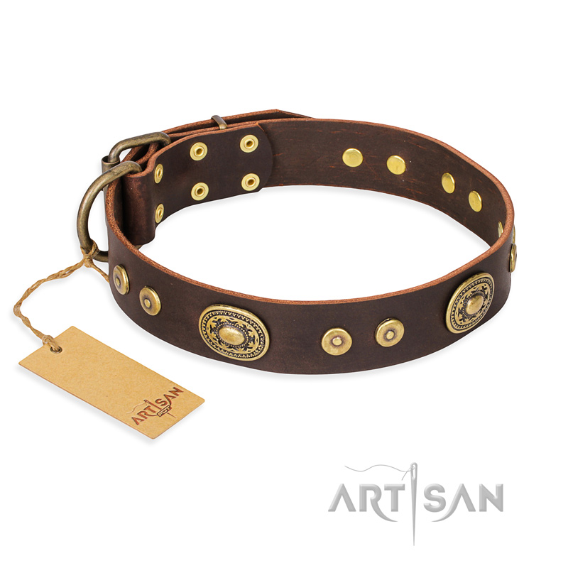 Leather Dog Collar for Sale | Handmade Dog Collar with Studs - £45.90
