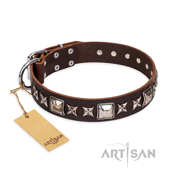 Brown dog collar for sale