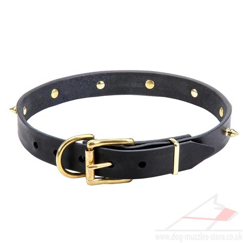 Small Dog Collar Leather