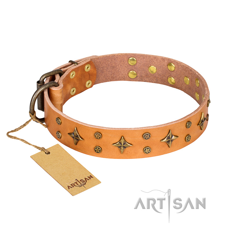 Handmade Leather Dog Collar Buy Online | Studded Dog Collar for Sale - £45.90