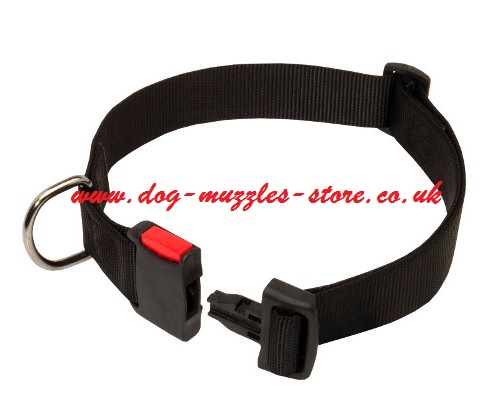 Nylon dog collar