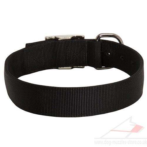 Nylon Dog Collar