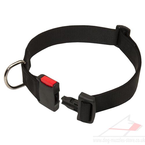 Neapolitan Mastiff Training Dog Collar