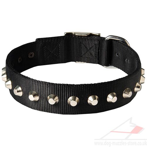 Nylon dog collar for large dogs style