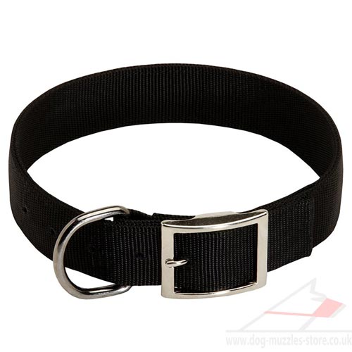 Nylon Dog Collar