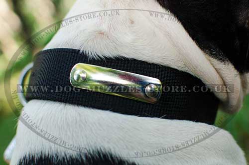 Nylon dog collar with ID tag