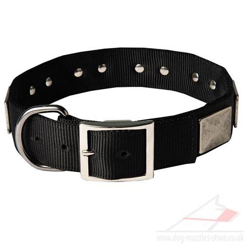 Nylon Dog Collars for Large Dogs