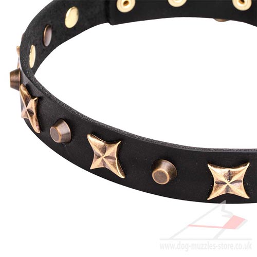 1 inch dog collar buy uk