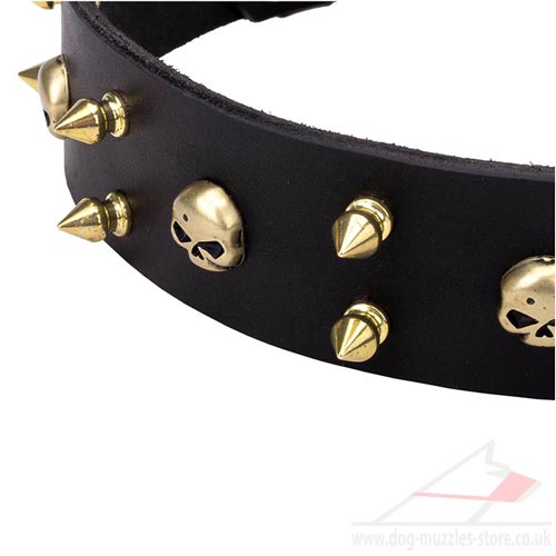 Perfect Dog Collar UK