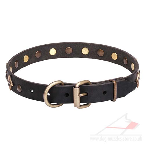 leather dog collar