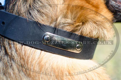 Personalized German Shepherd Collars