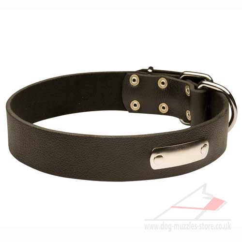 Leather dog collar with ID plate