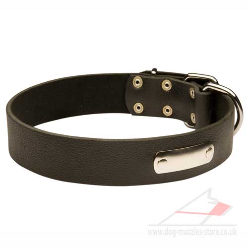 Personalized Dog Collars