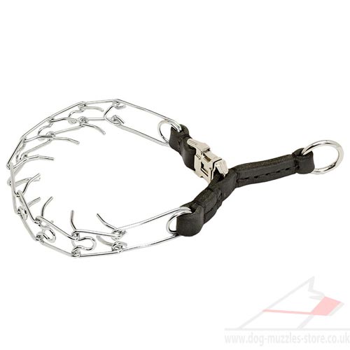 pinch collars for dogs