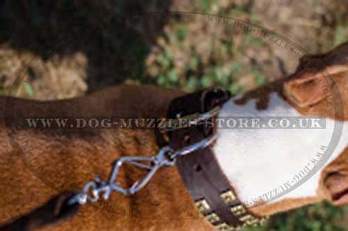 Pit Bull Dog Collar Best Design