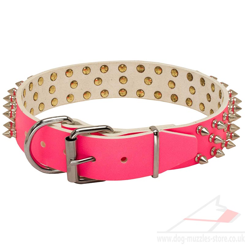 Purple Dog Collars with Spikes Pretty Dog Collars