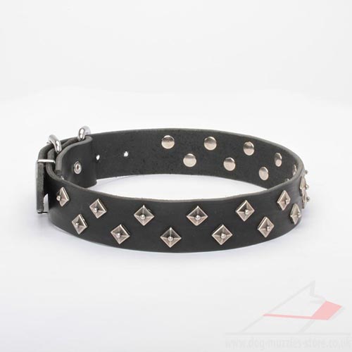 Black Leather Dog Collar