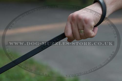 Buy German Shepherd Collar and Lead with Handle