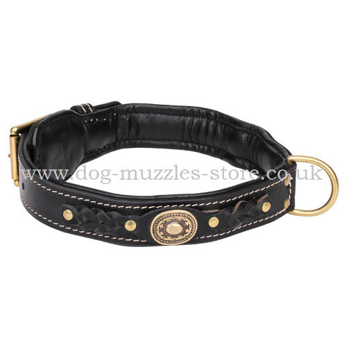 Royal dog collar