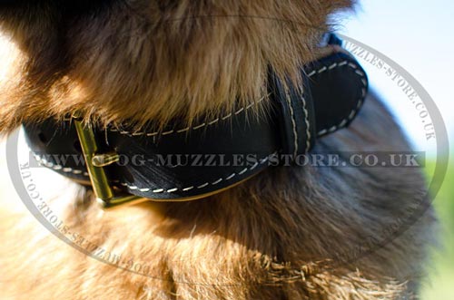 German Shepherd Collars UK