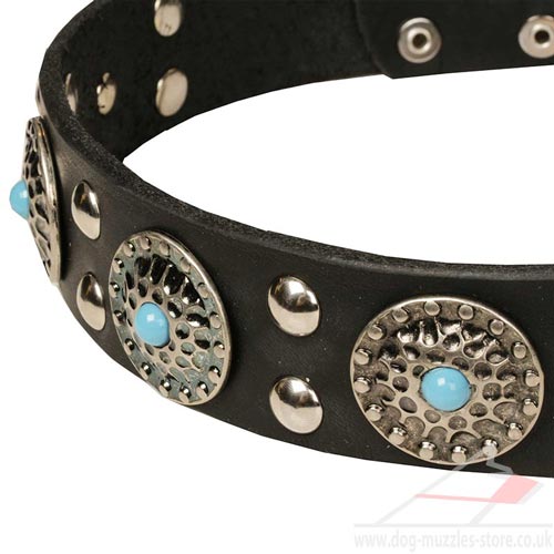 Large Dog Collars Leather