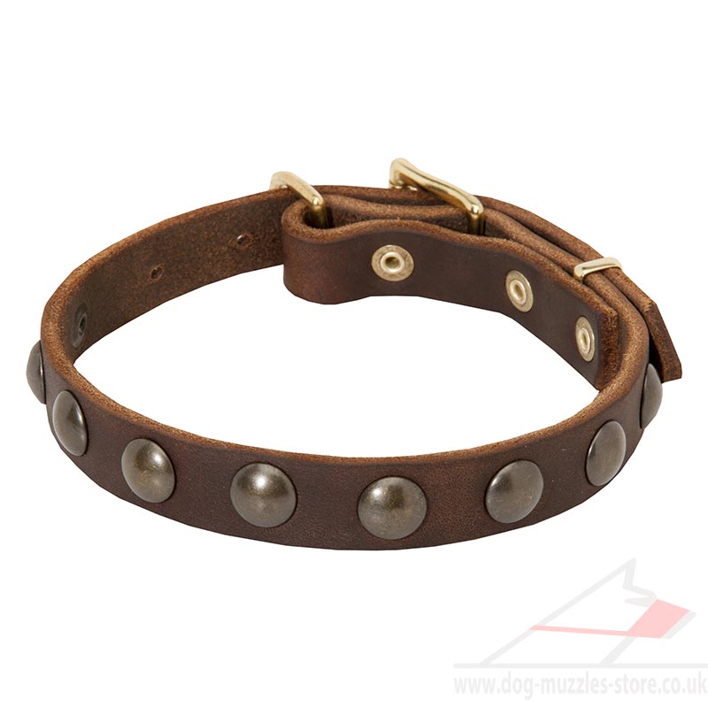 small collars small collar with brass studded design small collars small collar with brass studded design