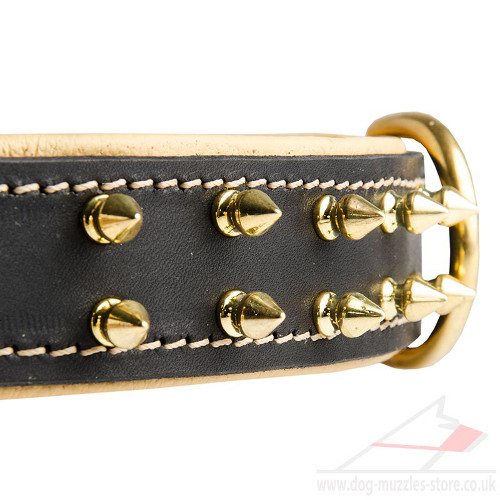 Luxury Spiked Dog Collar