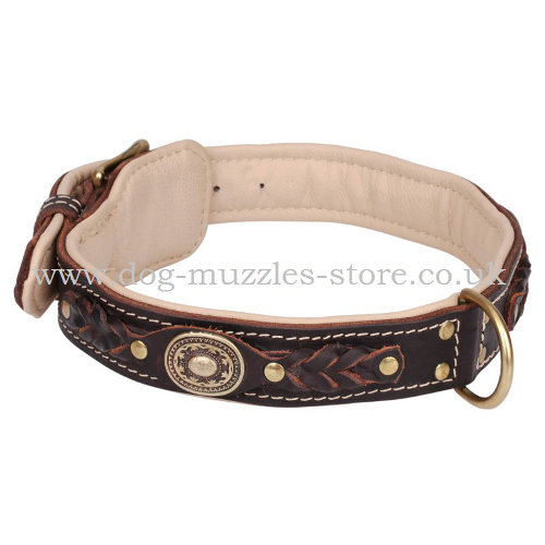 Soft dog collar