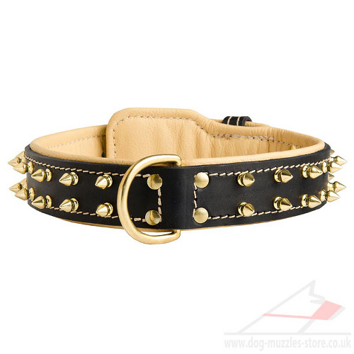 Soft Leather Dog Collar