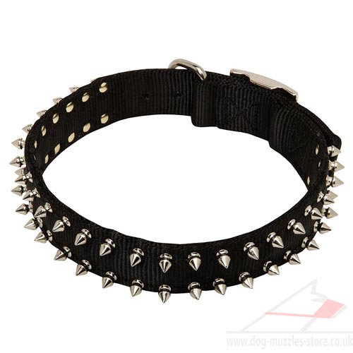 Nylon Dog Collars for Dogue De Bordeaux