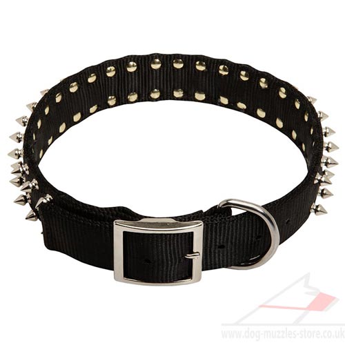 Nylon dog collar for Staffie