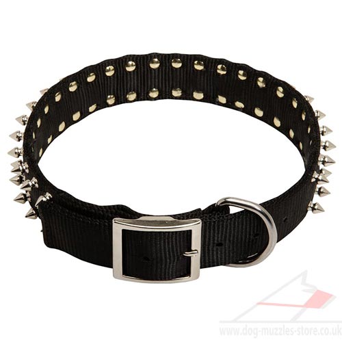 Nylon Dog Collars for Dogue De Bordeaux