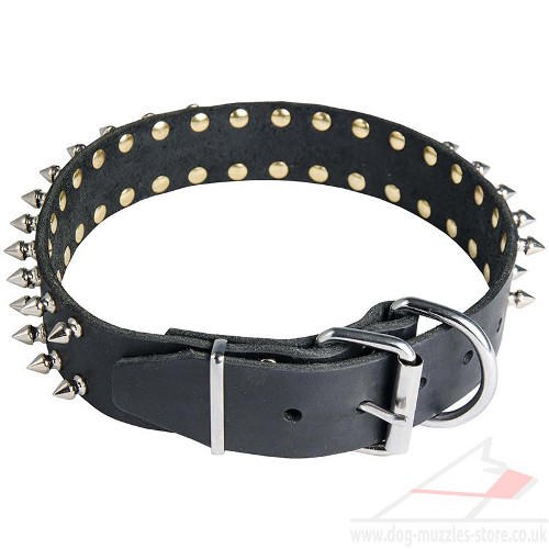 spiked leather dog collar