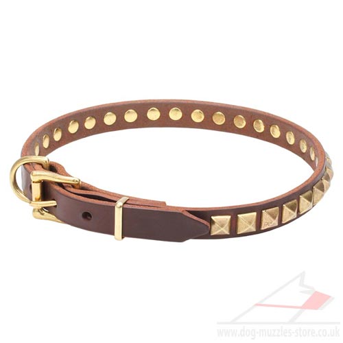 Designer Leather Dog Collar