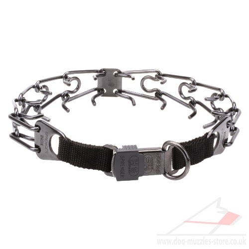 pinch collar for dogs online uk