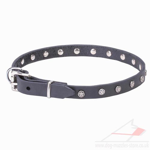 Designer Dog Leather Collars UK
