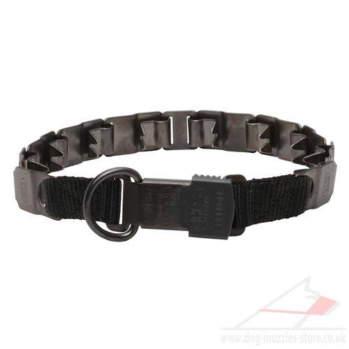 Neck Tech Sport Steel Dog Collar