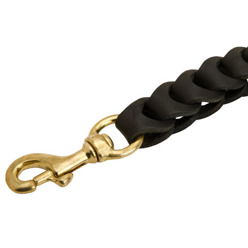 dog chain leash