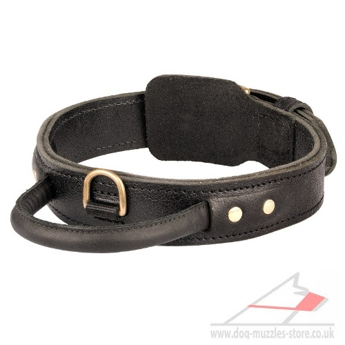 The Best Dog Collar with Handle