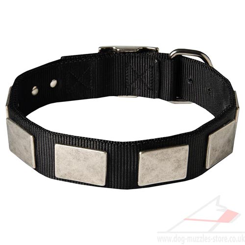 Staffie Dog Collars UK