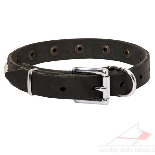 Small dog collars UK