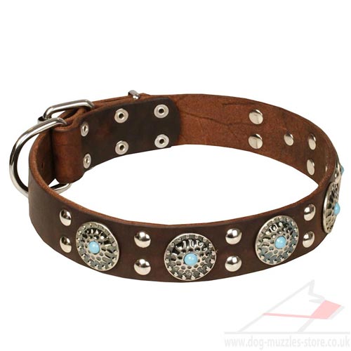 Large Dog Collars Leather