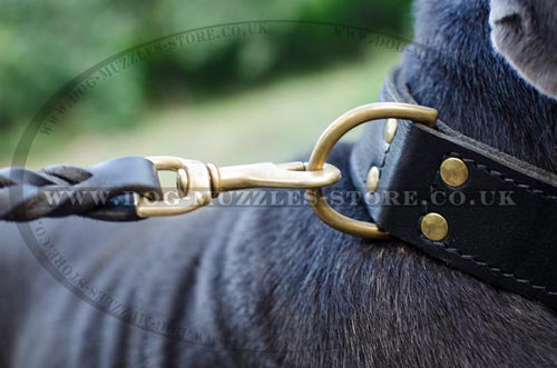 Strong Leather Dog Collar